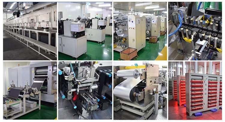 Industrial Lithium Iron Phosphate Battery 48V LiFePO4 Unit Pack Power 100ah