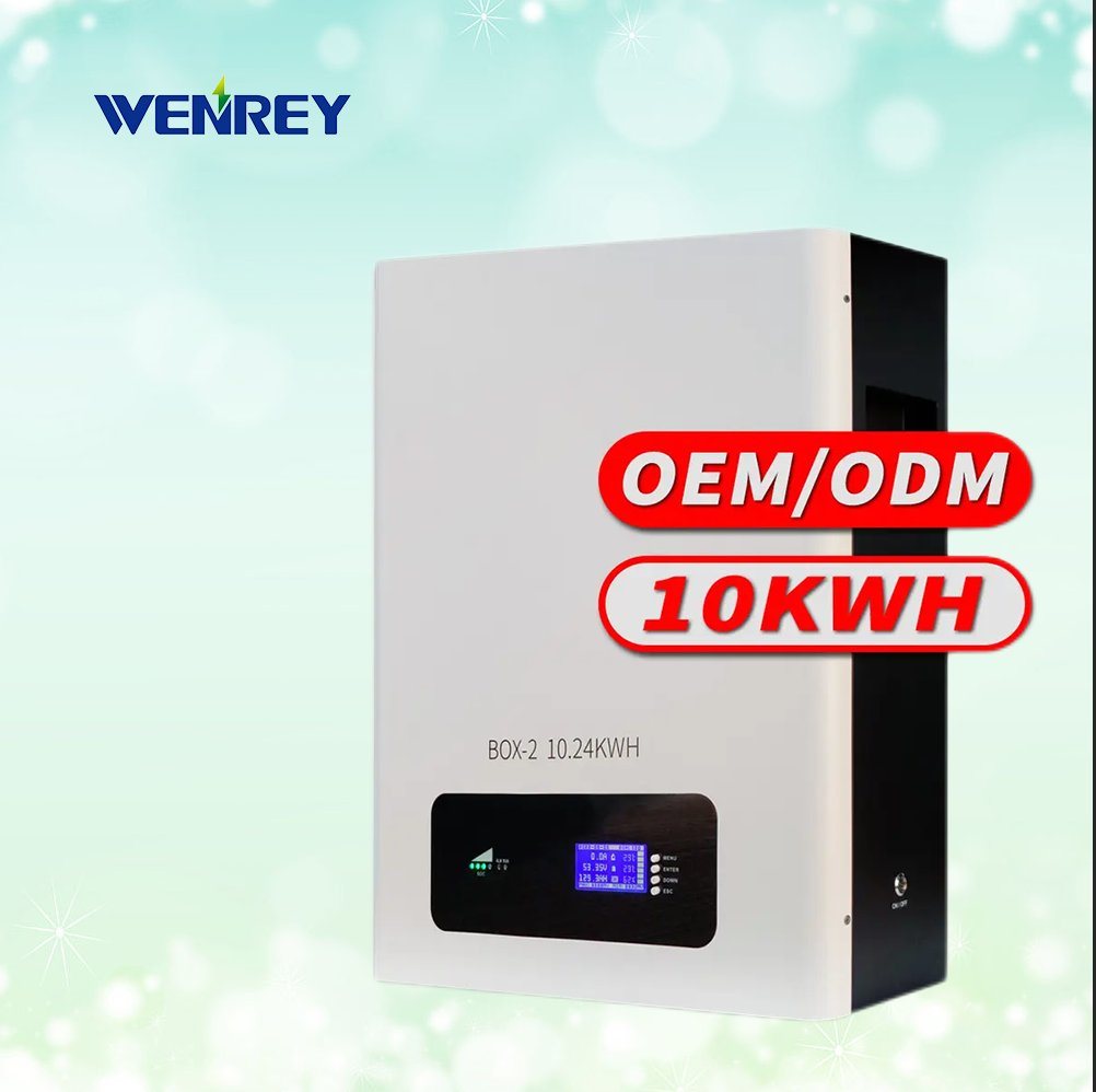 Wall Mount 48V200ah LiFePO4 Battery 51.2V 5kw 10kw Lithium Batteries 48V 200ah Lithium Iron Phosphate Battery for Solar Energy