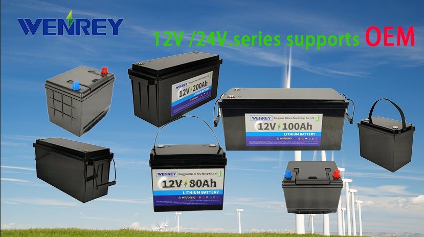 12V200ah Lithium Iron Phosphate Battery Solar Photovoltaic Power Generation System RV Lithium Iron Phosphate Battery 24V200ah Energy Storage Battery with Comple