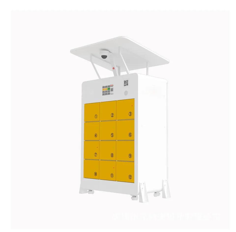 Public Charging Cabinet - 48V 30ah Battery Charging Station