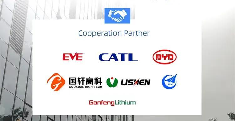 Solar Energy System Solar PV Module Sun Power Lithium Ion Battery 200ah