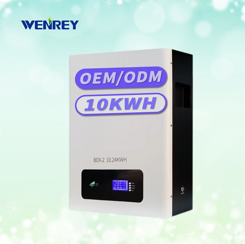 5kwh 10kwh 48V 100ah 200ah Wall Mounted Lithium Ion LiFePO4 Battery Solar Energy Storage System