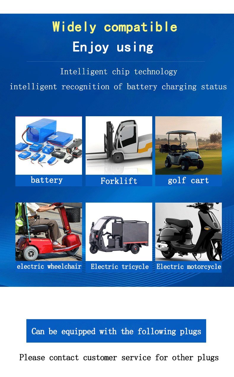 Rapid Charging Technology - 48V 8A Lithium Battery Electric Vehicle Charger