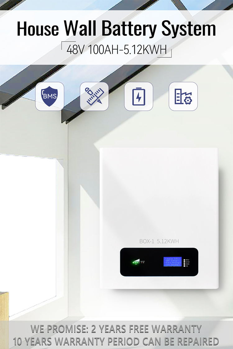 Solar Lithium Battery Home Energy Storage System LiFePO4 Pack 48 V 200ah