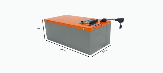 48V 15ah 30ah 45ah 60ah 100ah 200ah LiFePO4 Battery Packs for Electric Bike Bicycle/for RV/ Golf Cart/Boat/Solar