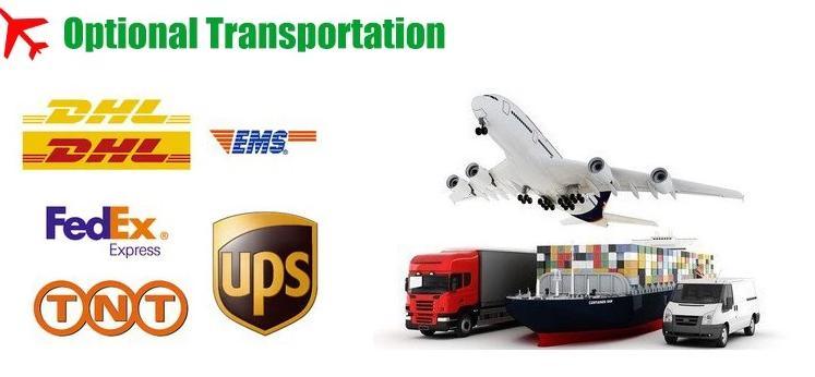 Scmk Grid on Solar Inverter 1100va 110kw Three Phase Pure Sine Wave High Power Station for Industry or Home Using